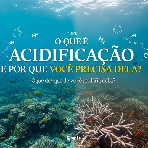 O Que é Acidificação e Por Que Você Precisa Dela?